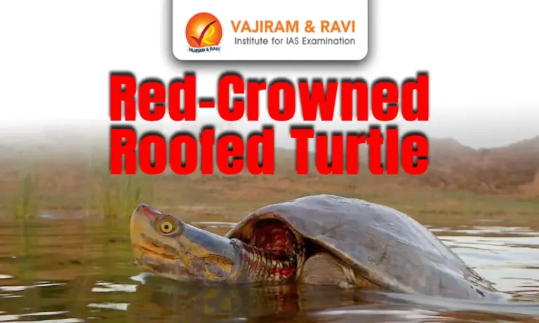 Red-Crowned Roofed Turtle