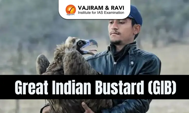 Great Indian Bustard (GIB)