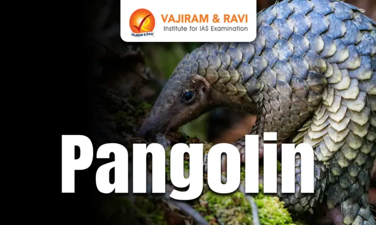 Pangolin