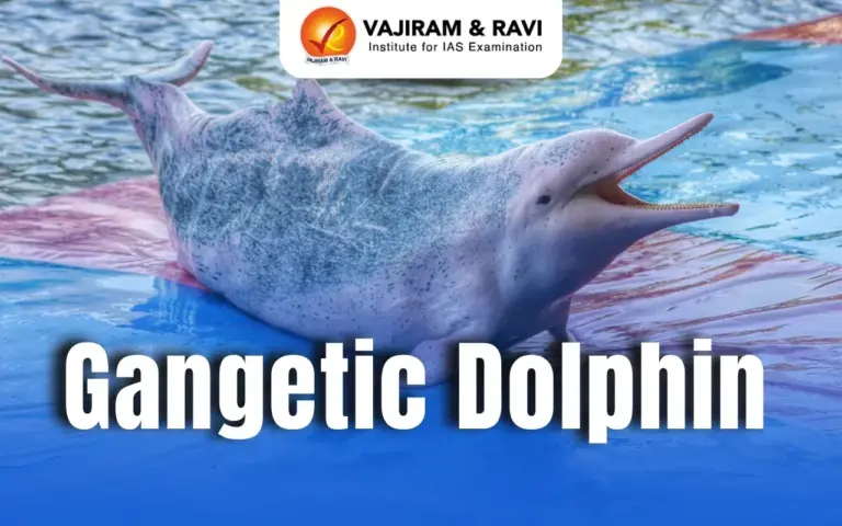 Key Facts about Gangetic Dolphin