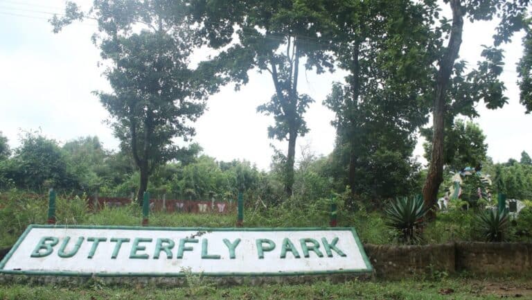 Butterfly EcoPark
