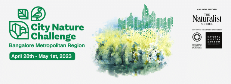 City Nature Challenge