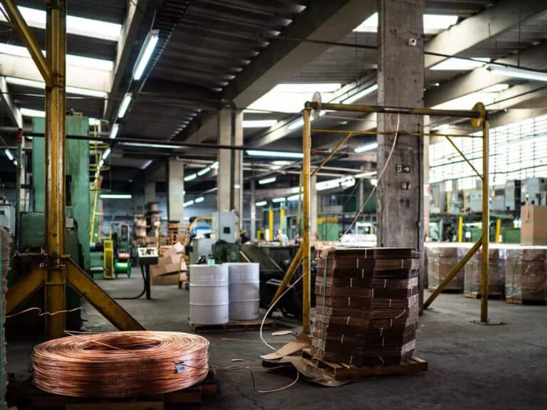 Emergency Credit Line Guarantee Scheme (ECLGS)