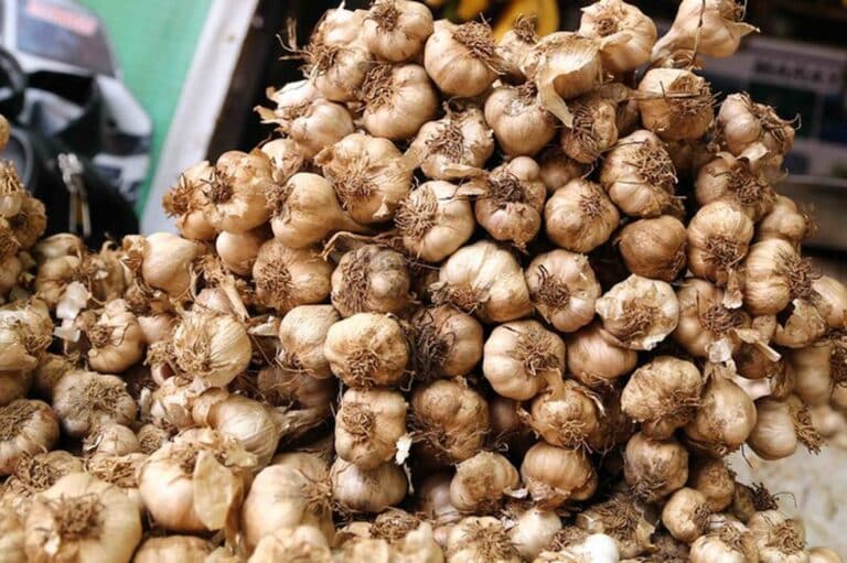 Geographical Indication (GI) Tag