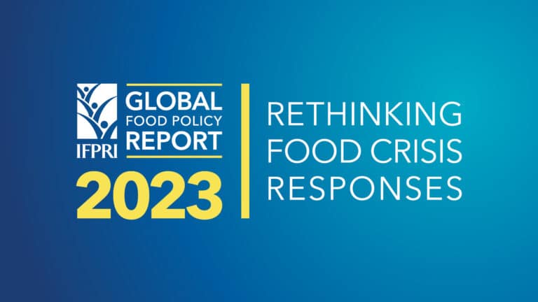 Global Food Policy Report 2023