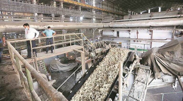 India emerges as largest producer of sugar in world