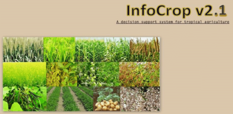 InfoCrop Simulation Model