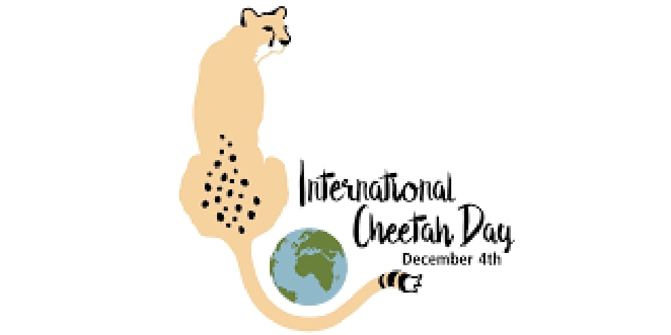 International Cheetah Day Celebration