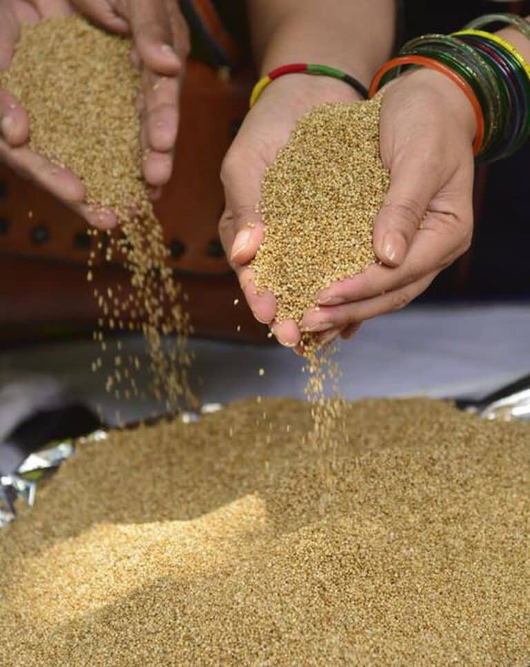 International Year of Millets (IYOM)-2023