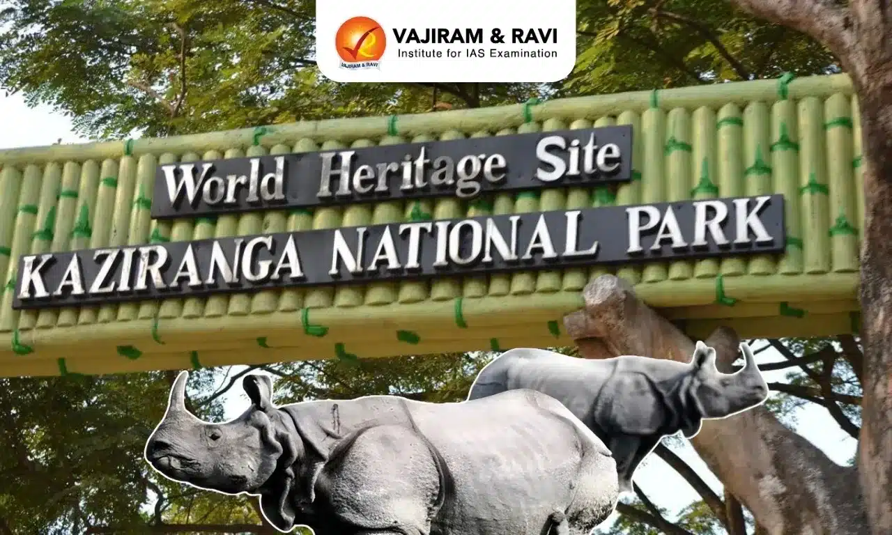 Kaziranga National Park