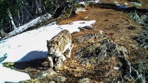 Kishtwar High Altitude National Park