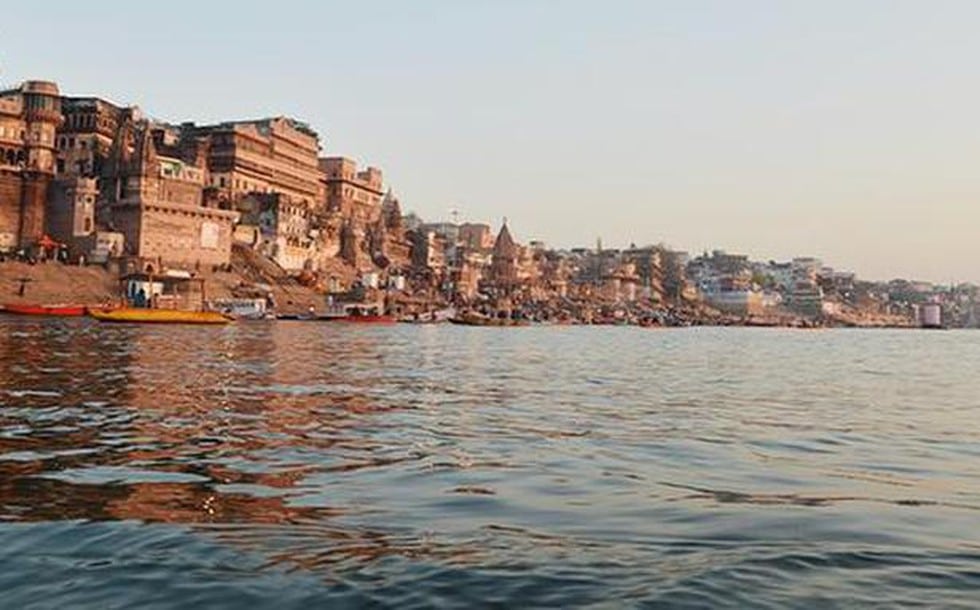 Legal rights to non-humans