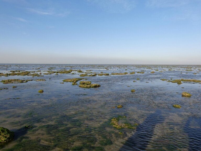 Marine National Park (Gulf of Kutch)