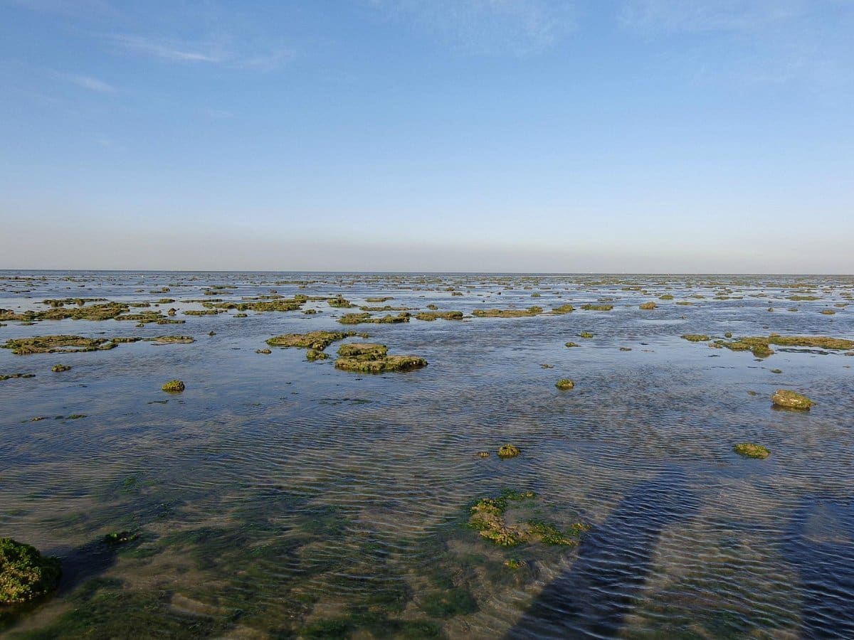 Marine National Park (Gulf of Kutch)