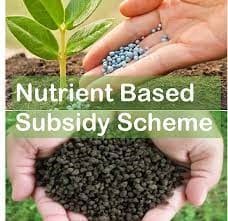Nutrient Based Subsidy (NBS) Scheme