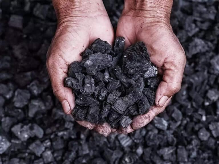Petroleum Coke (Pet Coke)