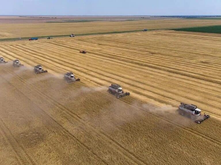 Promotion of Heat-Resistant Variety of Wheat