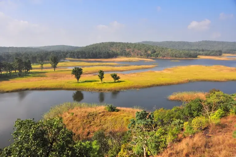 Ratapani Wildlife Sanctuary
