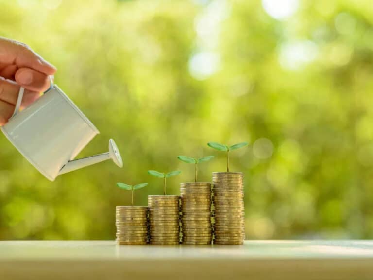 State Development Loans (SDL)