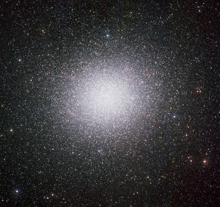 Surprising discovery on hot stars and white dwarfs in the globular cluster Omega Centauri