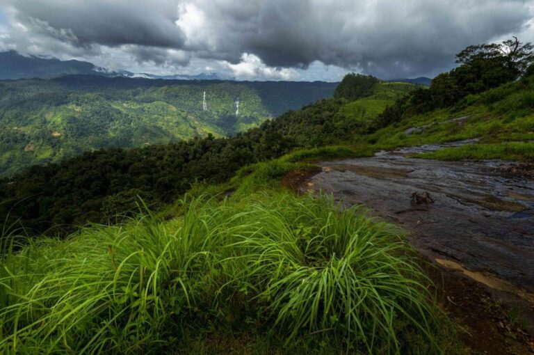 The International Day for Biosphere Reserves