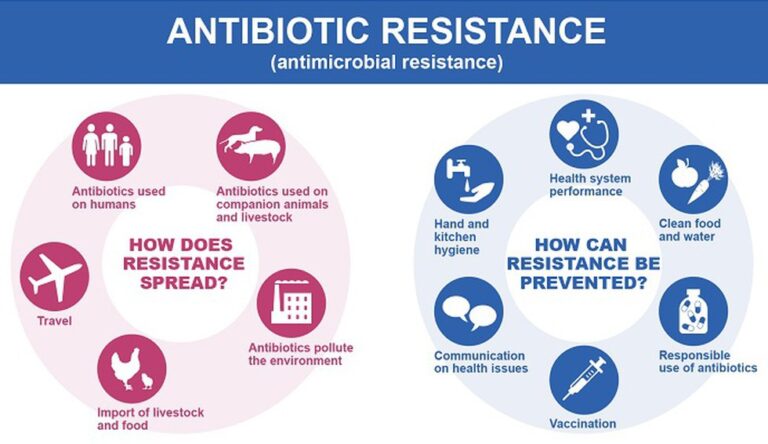 Third Global High-Level Ministerial Conference on Antimicrobial Resistance