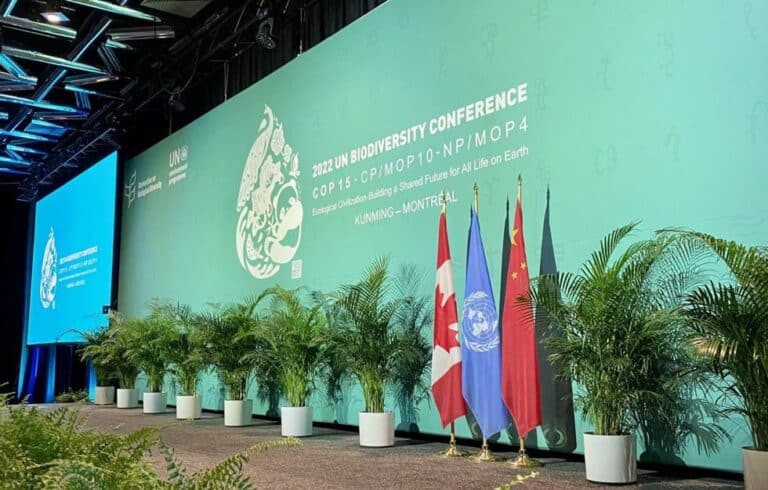 What are Aichi Targets?