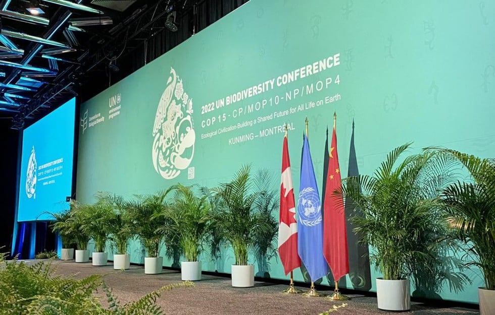 What are Aichi Targets?