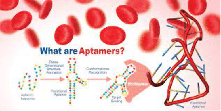 What are Aptamers?