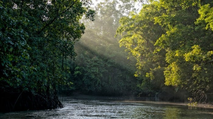 What are Biodiversity Heritage Sites (BHS)?