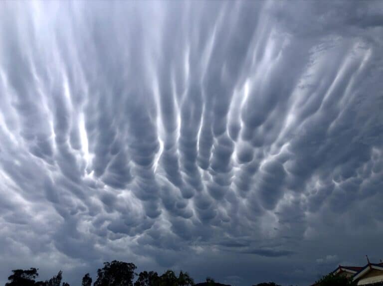 What are Mammatus Clouds?