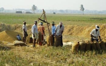 What are Primary Agricultural Credit Societies (PACS)