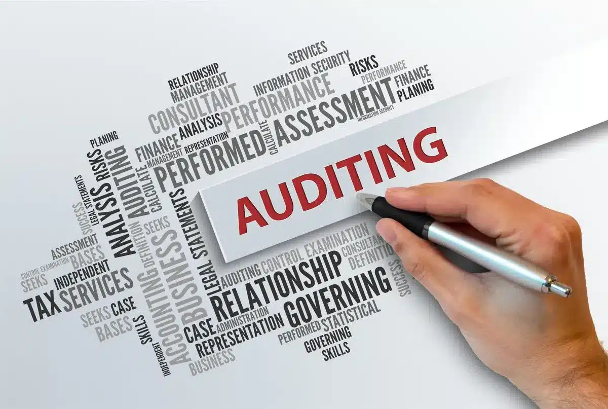 What are Supreme Audit Institutions (SAIs)?