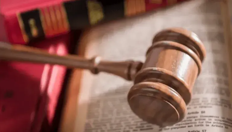 What is a Review Petition?