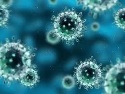 What is Adenovirus?