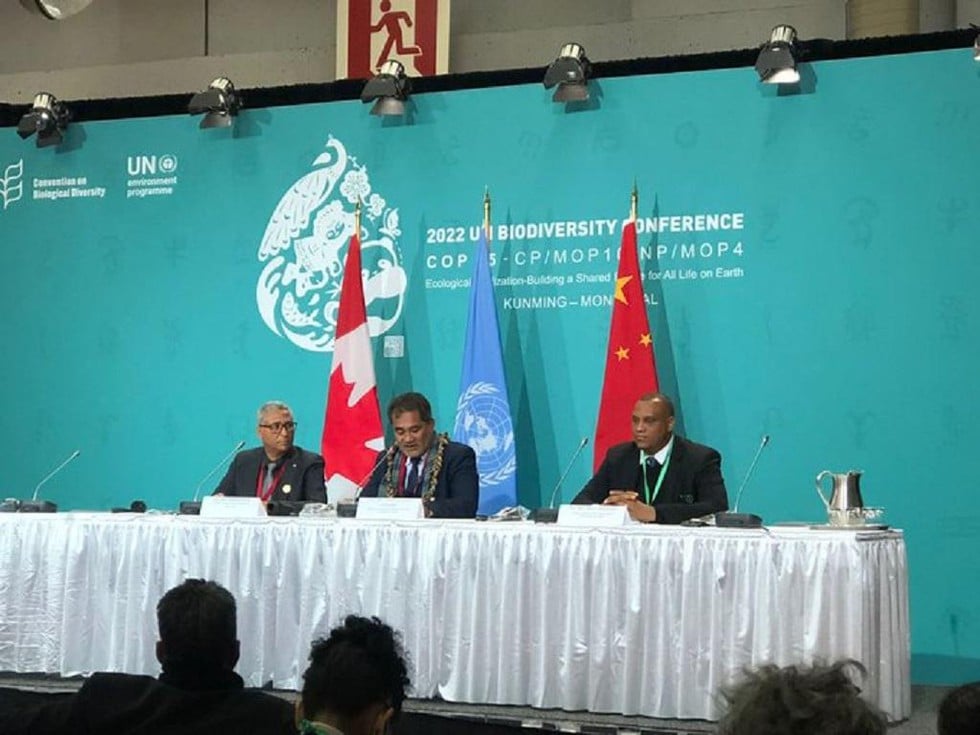 What is Coalition for Nature?