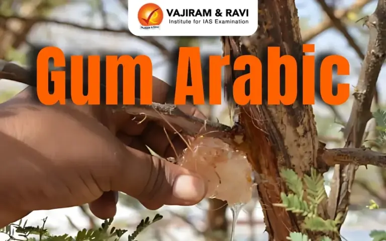 What is Gum Arabic?