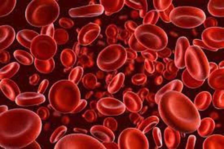 What is Haemophilia?