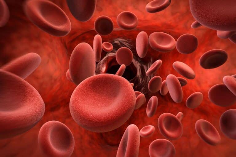 What is Hemophilia?
