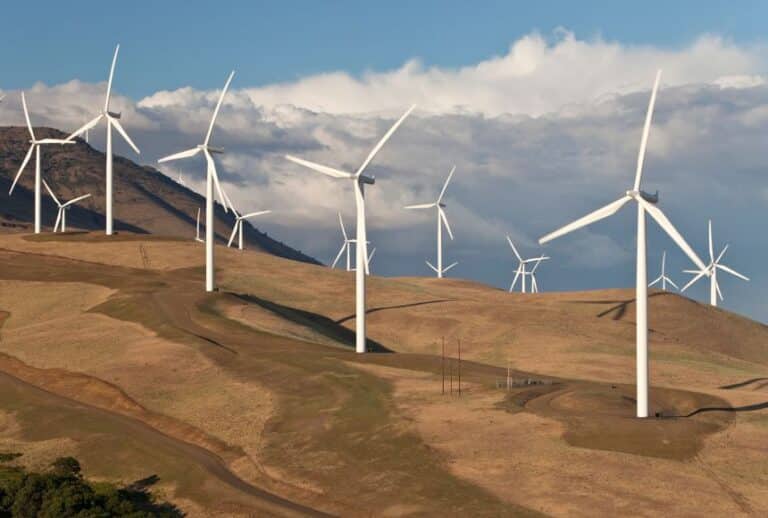 What is the Global Wind Energy Council (GWEC)?
