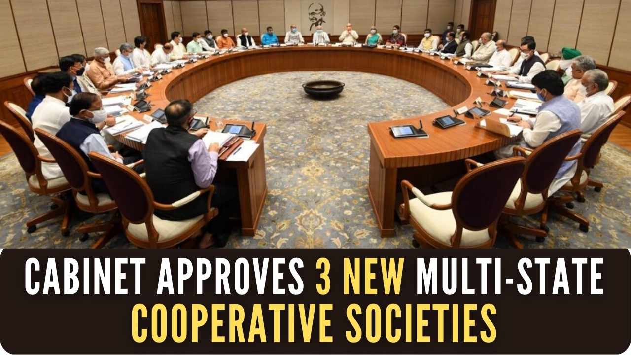 What is the National level multistate cooperative export society?