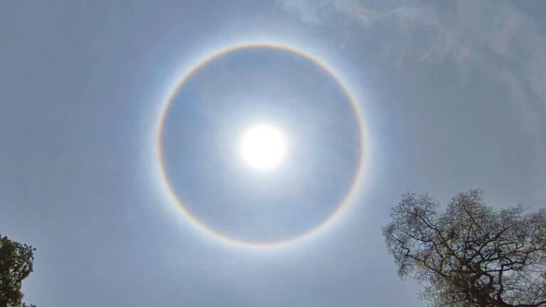 What is the Sun Halo?