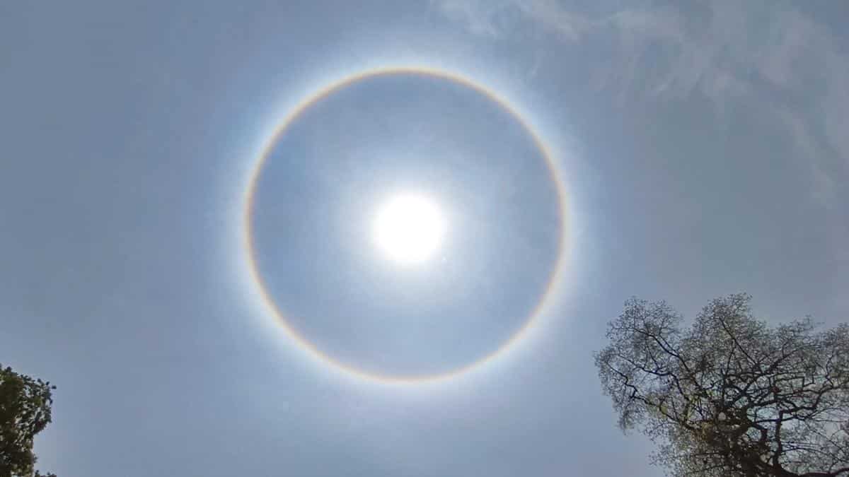 What is the Sun Halo?