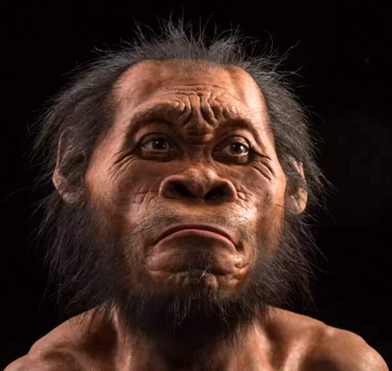Who are Homo Naledi?