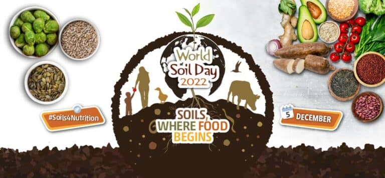 World Soil Day Celebration