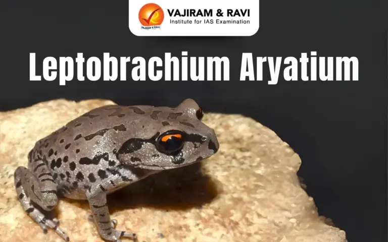 Leptobrachium Aryatium