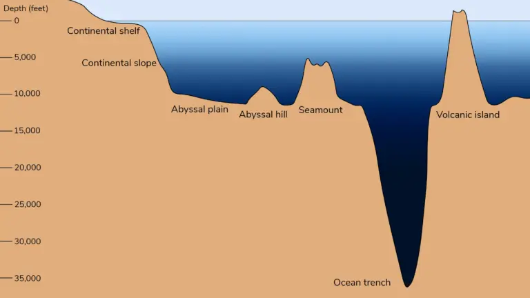 What are Abyssal Plains?