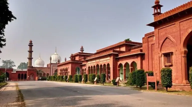 Aligarh Muslim University (AMU)