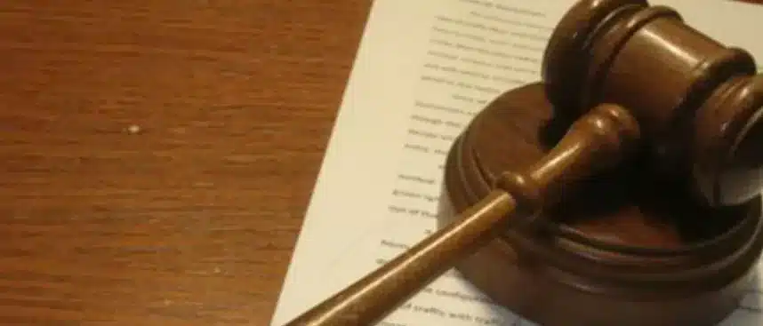 ANI's Defamation Case Against Wikipedia: Legal Insights and Safe Harbour Clause