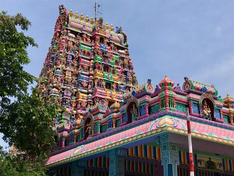 The Debate over the Appointment of Temple Priests in Tamil Nadu